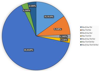 Antibiotic Resistance and Molecular Biological Characteristics of Non-13-Valent-Pneumococcal Conjugate Vaccine Serogroup 15 Streptococcus pneumoniae Isolated From Children in China